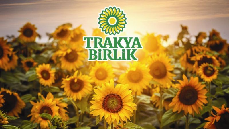 Fiyat Farkı Ödemesi Başlıyor! 1.100 TL Ödemeler Resmen Hesaplarda! 1