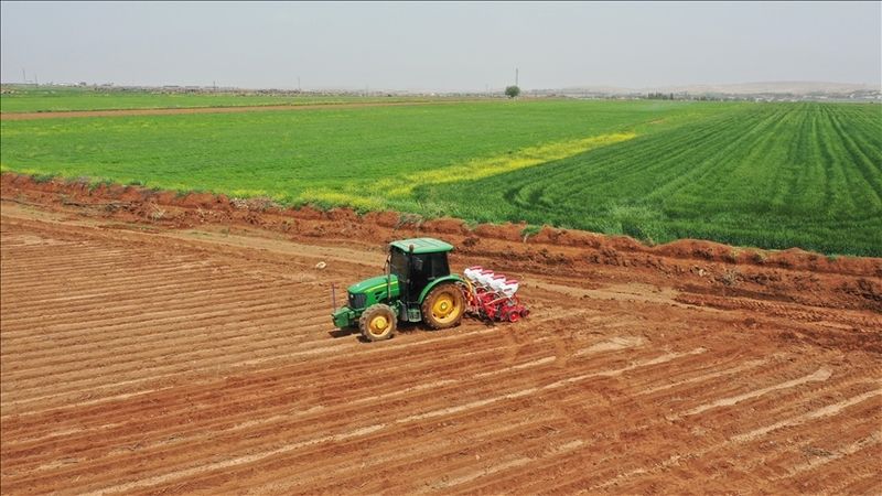 Çiftçilerin Dikkatine, Faiz İndirimli Tarım Kredisi İçin Başvuru Süresi Uzatıldı! O Ürünleri Ekenler, İndirimli Kredi Kullanabilecek! 2