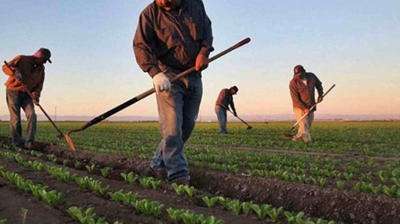 Tarım ve Orman Bakanlığı’ndan çiftçiler için destek kararı geldi! Başvuru tarihleri bugün güncellendi! Deprem bölgesindekileri de ilgilendiriyor 1