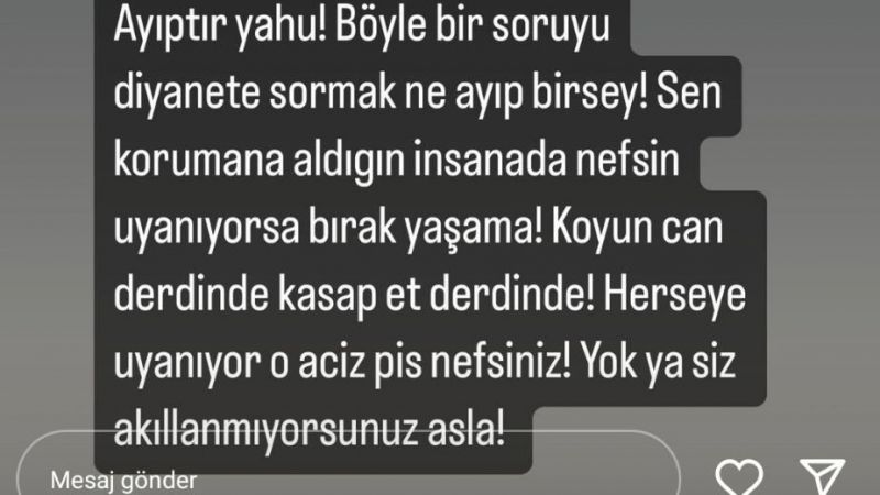 Ebru Polat, Diyanet'e Sorulan O Soruya Ateş Püskürdü: “Her Şeye Uyanıyor O Aciz, Pis Nefsiniz!” 4