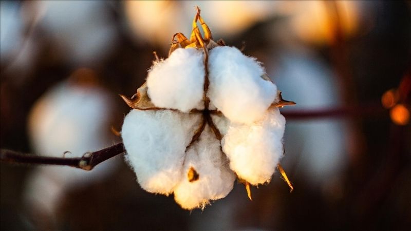 Gaziantepliler, bu rakamlara dikkat edin; emtia piyasalarında tüm dengeler kaçtı! İşte 3 Mart 2023 emtia piyasalarında son durum 2