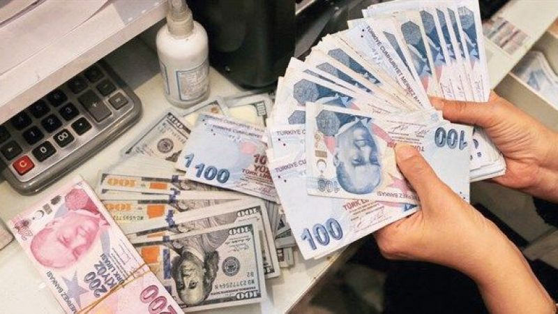 Başvuru Yapana Devlet 1.600 TL Verecek! Başvurunuzu Siz De Hemen Yapın! 4