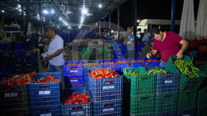 Meyve ve Sebze Fiyatlarında Son Durum! Antalya Hali’nde Fiyatlar Neredeyse Yarıya Yarıya Düştü! 3