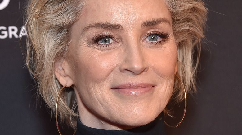 İflasın eşiğinden dönen Sharon Stone “Temel İçgüdü” filmiyle ilgili bir itirafta bulundu! “500 bin dolar için…” 4