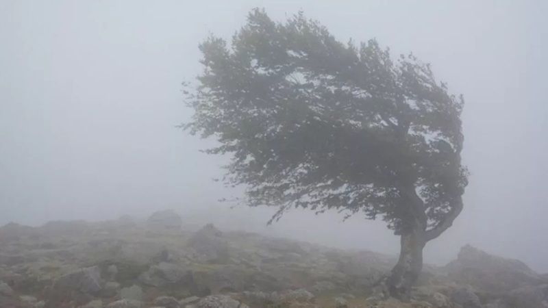 Rüyada Rüzgâr Görmek Ne Anlama Gelir, Neye İşarettir? Anlamı, Yorumu 1