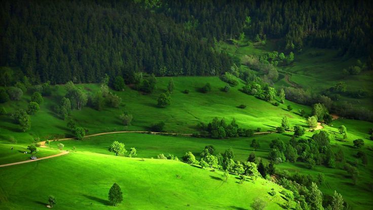 Rüyada Yeşil Görmek Ne Anlama Gelir, Neye İşarettir? Anlamı, Yorumu 3