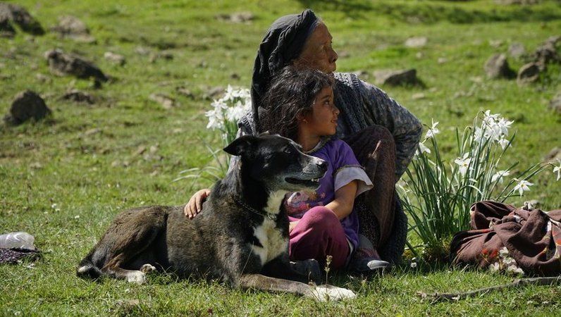 Hangi filmler yakın zamanda vizyona girecek? Tarihleri ve isimleri… 2