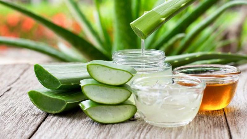 Doğanın sihirli iksiri aloe vera, cilt problemlerinden saç sorunlarına kadar her derde deva! 3