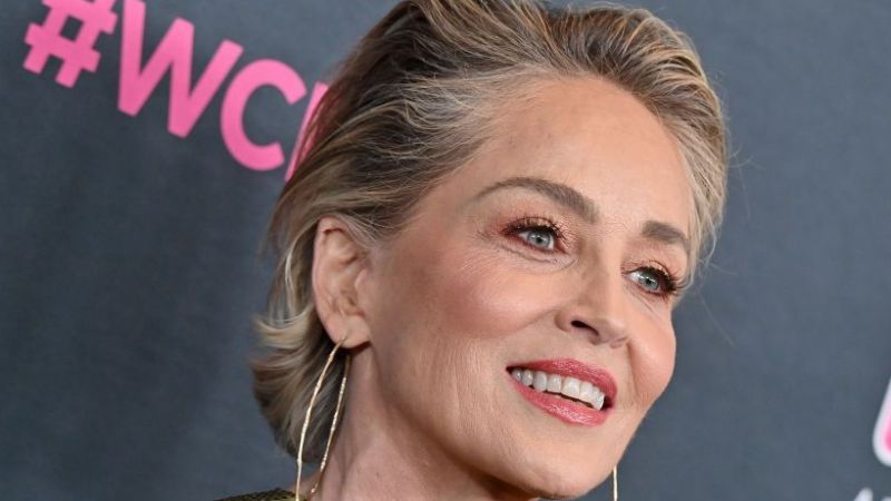 Sharon Stone Temel İçgüdü performansını aratmadı! Leopar desenli bikinisini giydi ayna karşısına geçti! 1