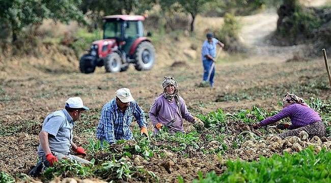 Gaziantep'te köye dönüş desteği devam ediyor! Peki, köye dönüş projesi şartları neler? Ev, yol yardımı ve hibe… Köye dönüş desteği nasıl alınır? 2