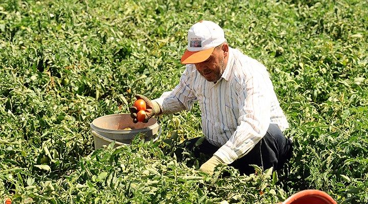 ÇKS başvuruları ne zaman son? e - Devlet ÇKS başvurusu nasıl yapılır? Çiftçiler ödenecek destekler neler? 3