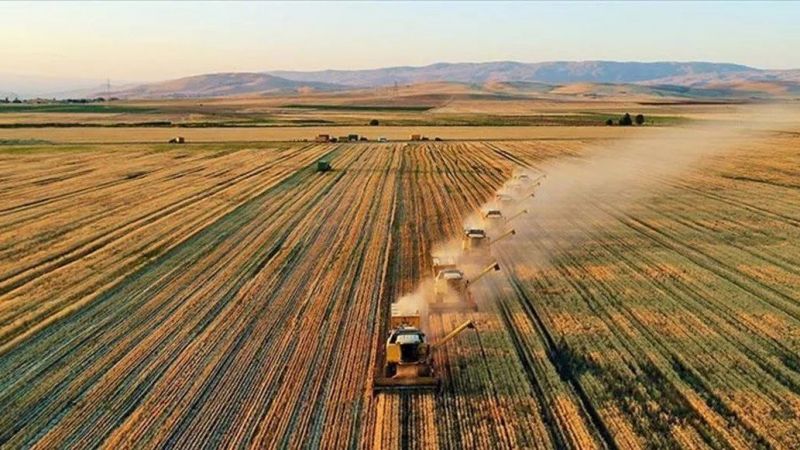 Tarım alanında yeni dönem başlıyor! Yeni tarım bölgeleri kurulacak ve ürün fiyatları düşecek! 1