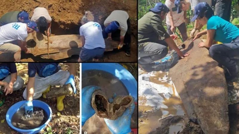 14 metre boyu olan balina gömüldükten tam 3 sene sonra çıkartıldı! Midesinde ise plastik çöpler vardı! 3