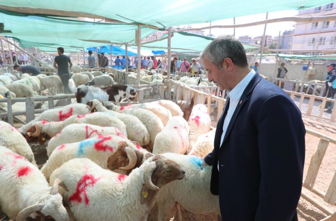 Gaziantep ŞAHİNBEY BELEDİYESİ'NDEN 3 BİN Lira KURBAN BAYRAMI YARDIMI Başkan Tahmazoğlu DUYURDU! Kurban Parası Nasıl Alınır? Başvuru Şartları nelerdir? 1