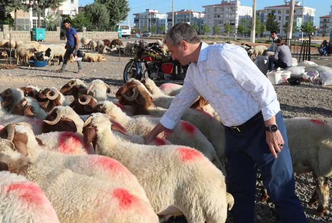 Gaziantep ŞAHİNBEY BELEDİYESİ'NDEN 3 BİN Lira KURBAN BAYRAMI YARDIMI Başkan Tahmazoğlu DUYURDU! Kurban Parası Nasıl Alınır? Başvuru Şartları nelerdir? 4