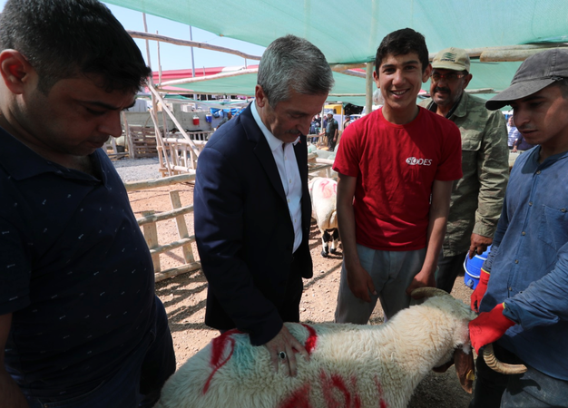 Gaziantep ŞAHİNBEY BELEDİYESİ'NDEN 3 BİN Lira KURBAN BAYRAMI YARDIMI Başkan Tahmazoğlu DUYURDU! Kurban Parası Nasıl Alınır? Başvuru Şartları nelerdir? 2