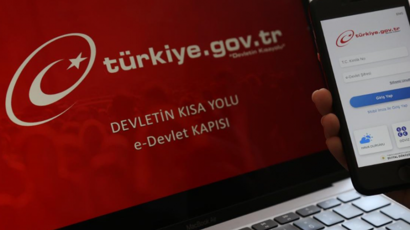 Vatandaşlar devletten 1132 TL nakit ödeme alabilecek! Para iadesi için e-devlet başvurusu yeterli 2