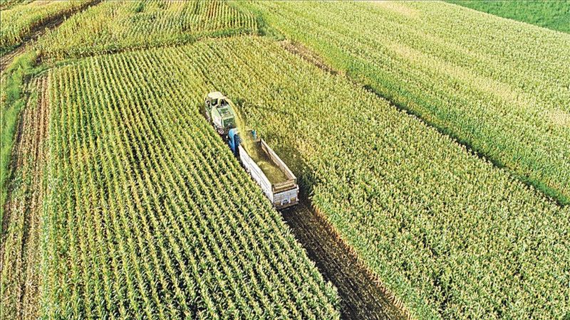 Tarımda verimliliği artıracak UCUZ gıda dönemi başlıyor: Gıda krizi 22 yıl sonra “Tarım Sayımı” ile sona erecek 2