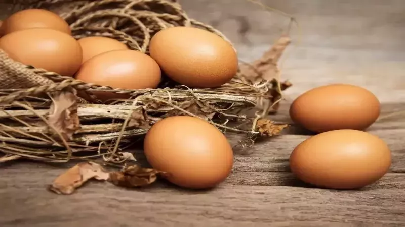 Mutfakta bu pratik bilgi çok işinize yarayacak! Yiyeceklerin taze olup olmadığını anlamanın en kolay yolları! Taze yumurta nasıl anlaşılır? 2