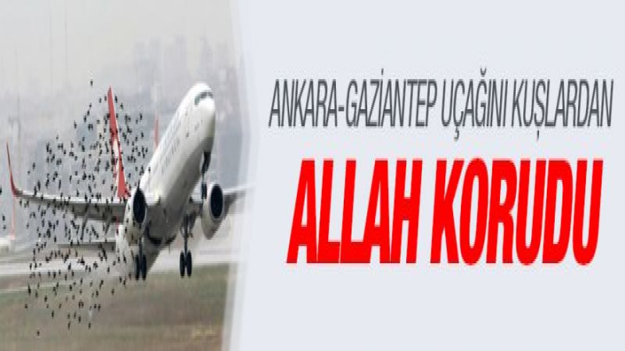 Ankara-Gaziantep uçağı havada iniş yaparken kuş sürüsüne çarptı