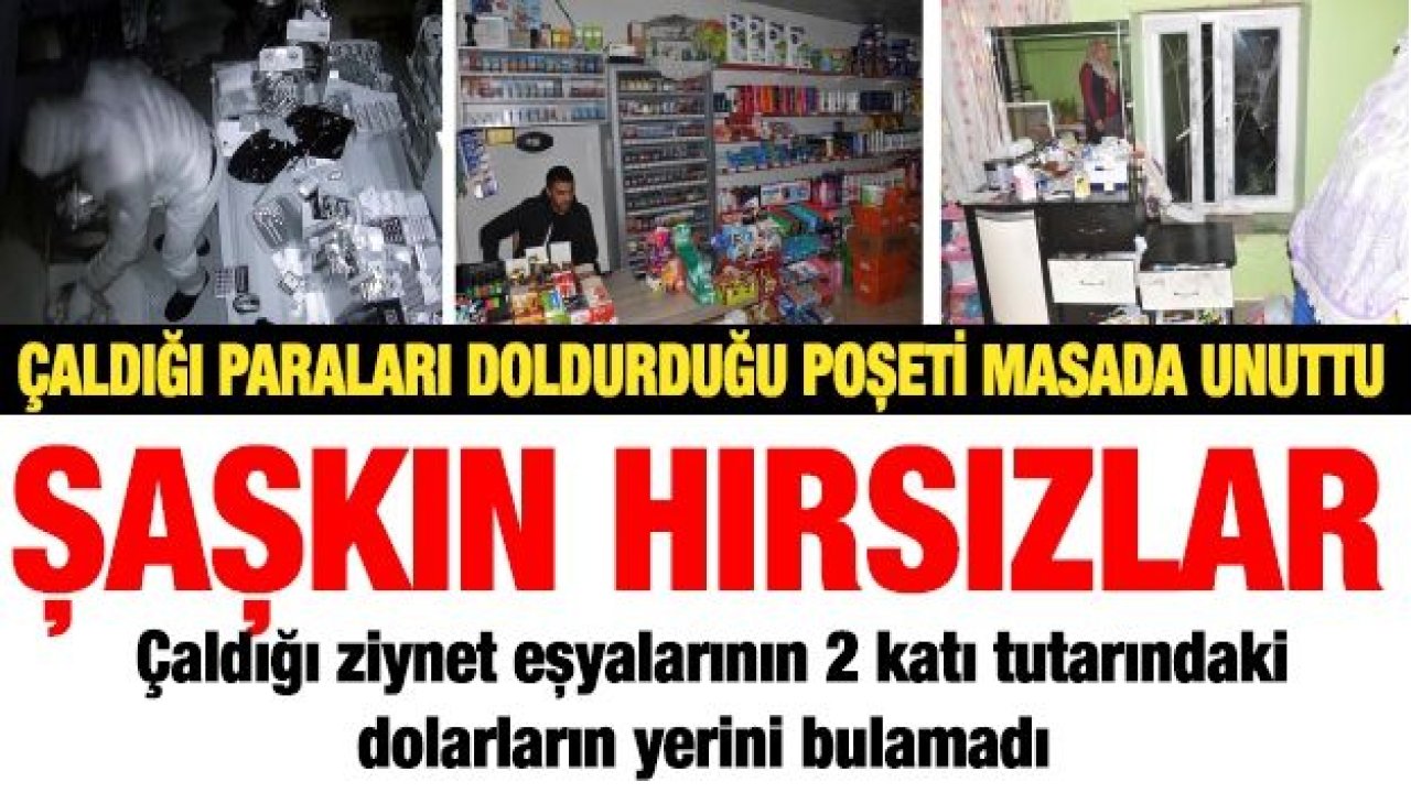 Şaşkın hırsızlar