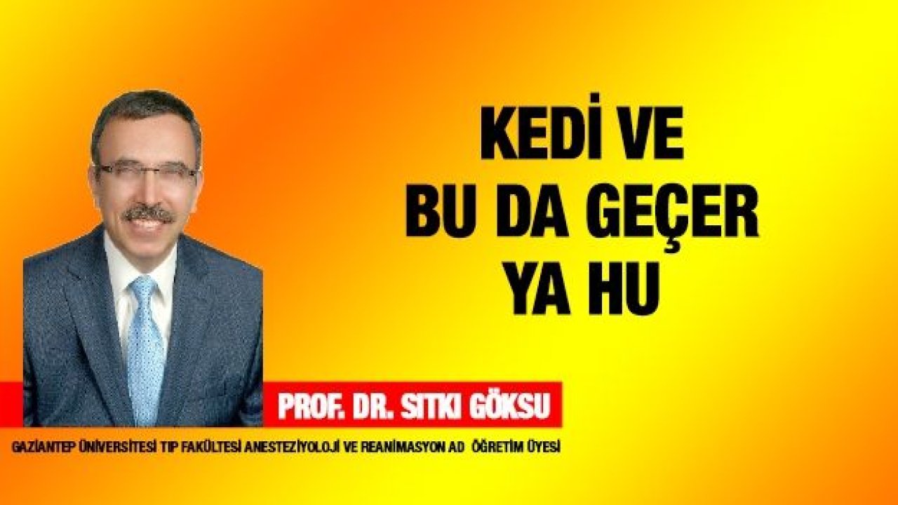 Kedi ve Bu Da Geçer Ya Hu