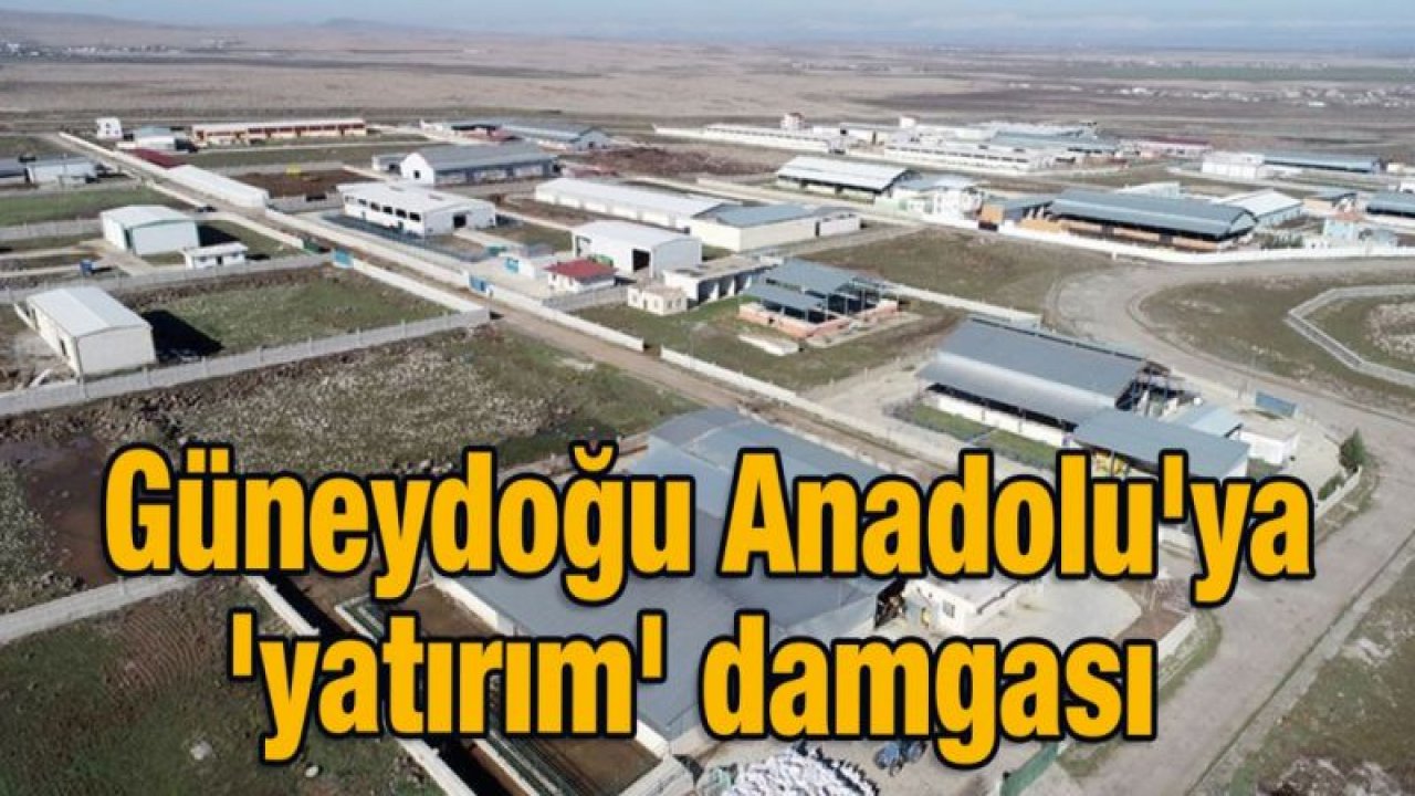 Güneydoğu Anadolu'ya 'yatırım' damgası