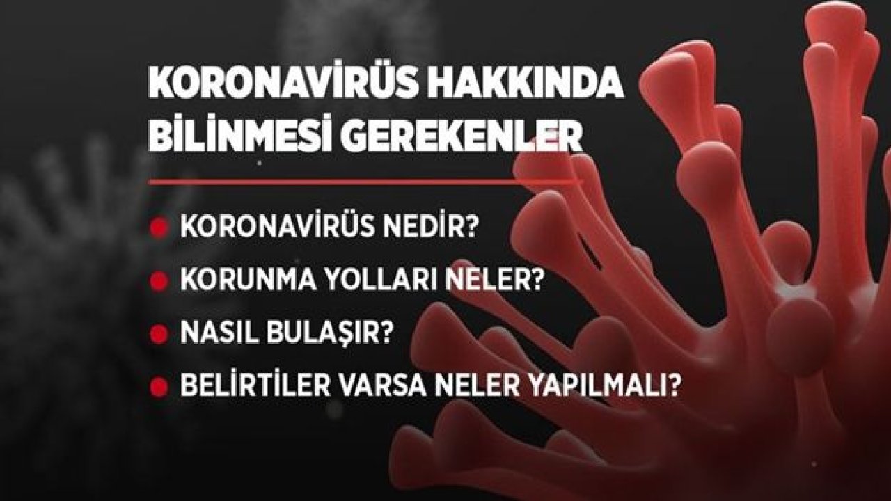 Yeni tip koronavirüs hakkında bilinmesi gerekenler