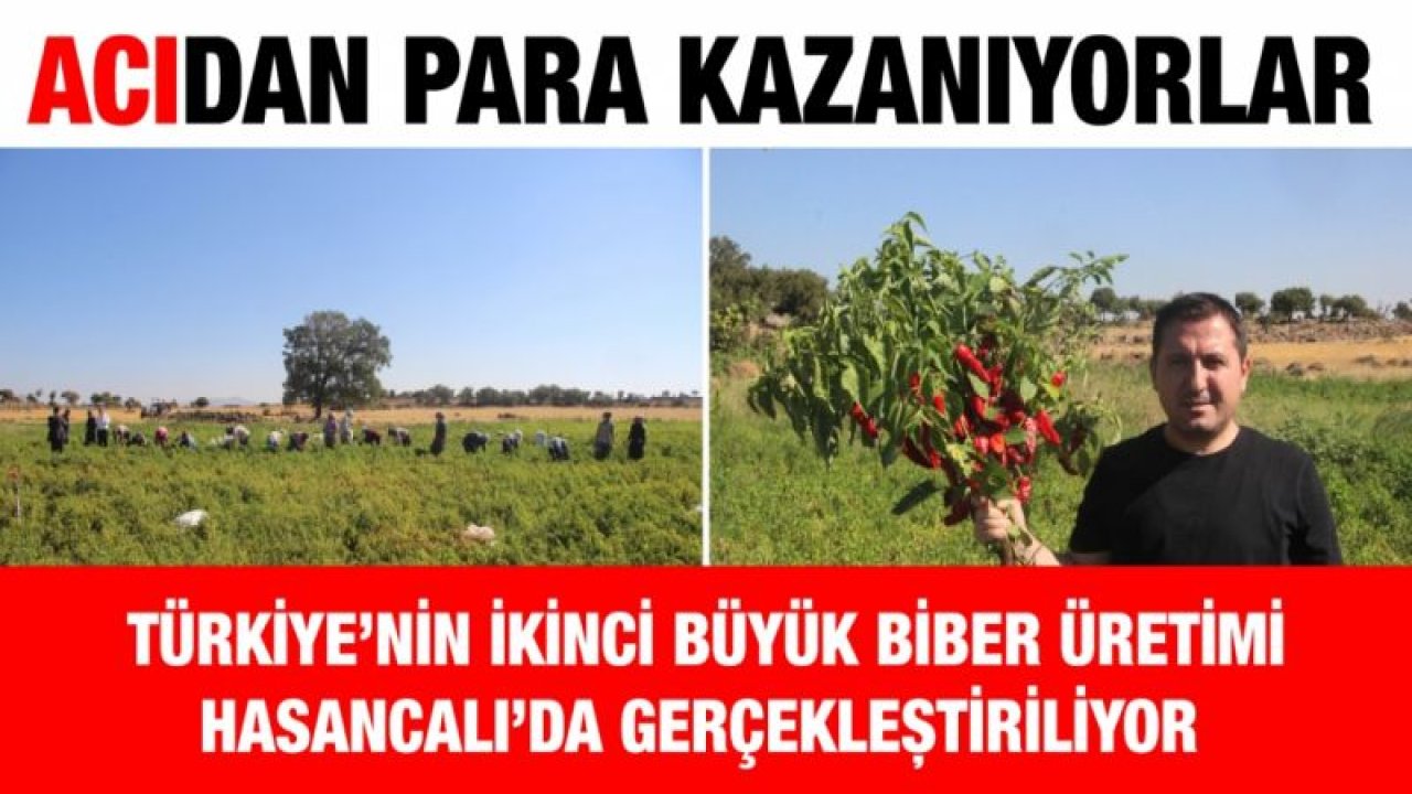 Acıdan para kazanıyorlar