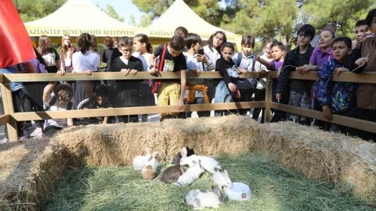 Gaziantep Büyükşehir Belediyesi, Dünya Hayvanları Koruma Günü’nde farkındalığa dikkat çekti