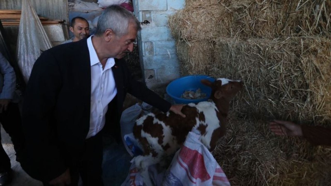 Şahinbey Belediyesi’nin destekleri ile hayvancılık gelişiyor