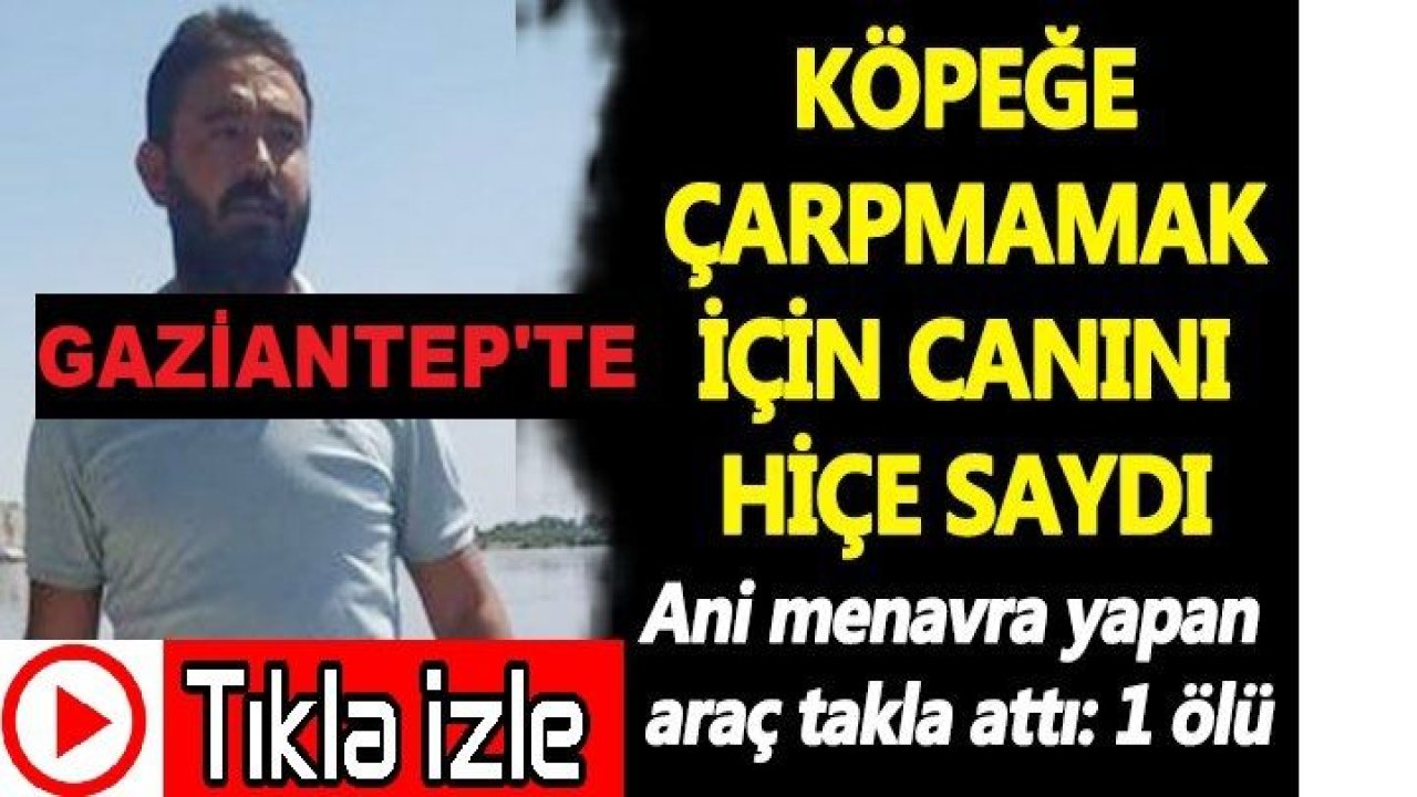 Gaziantep'te Sürücü Köpeğe Çarpmamak İçin Feci Şekilde Hayatını Kaybetti...