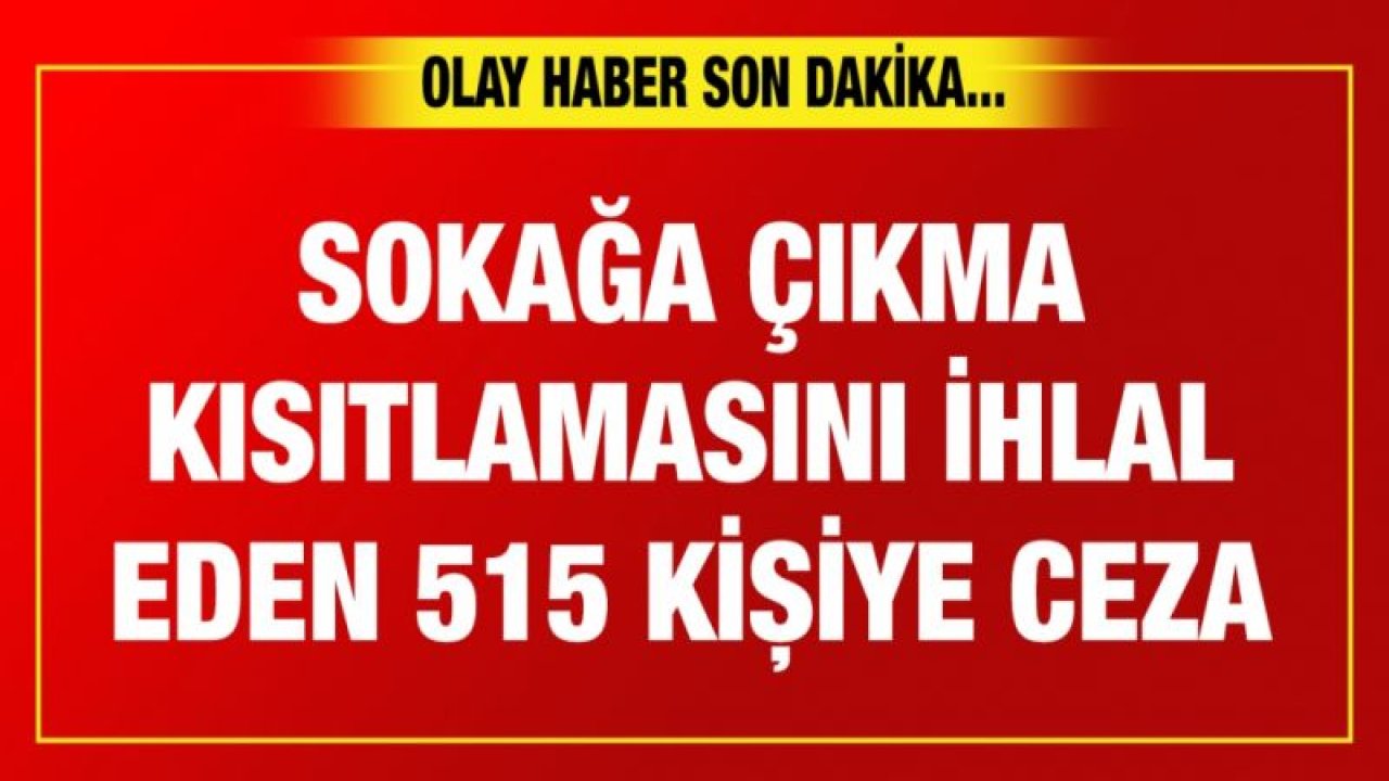 Sokağa çıkma kısıtlamasını ihlal eden 515 kişiye ceza