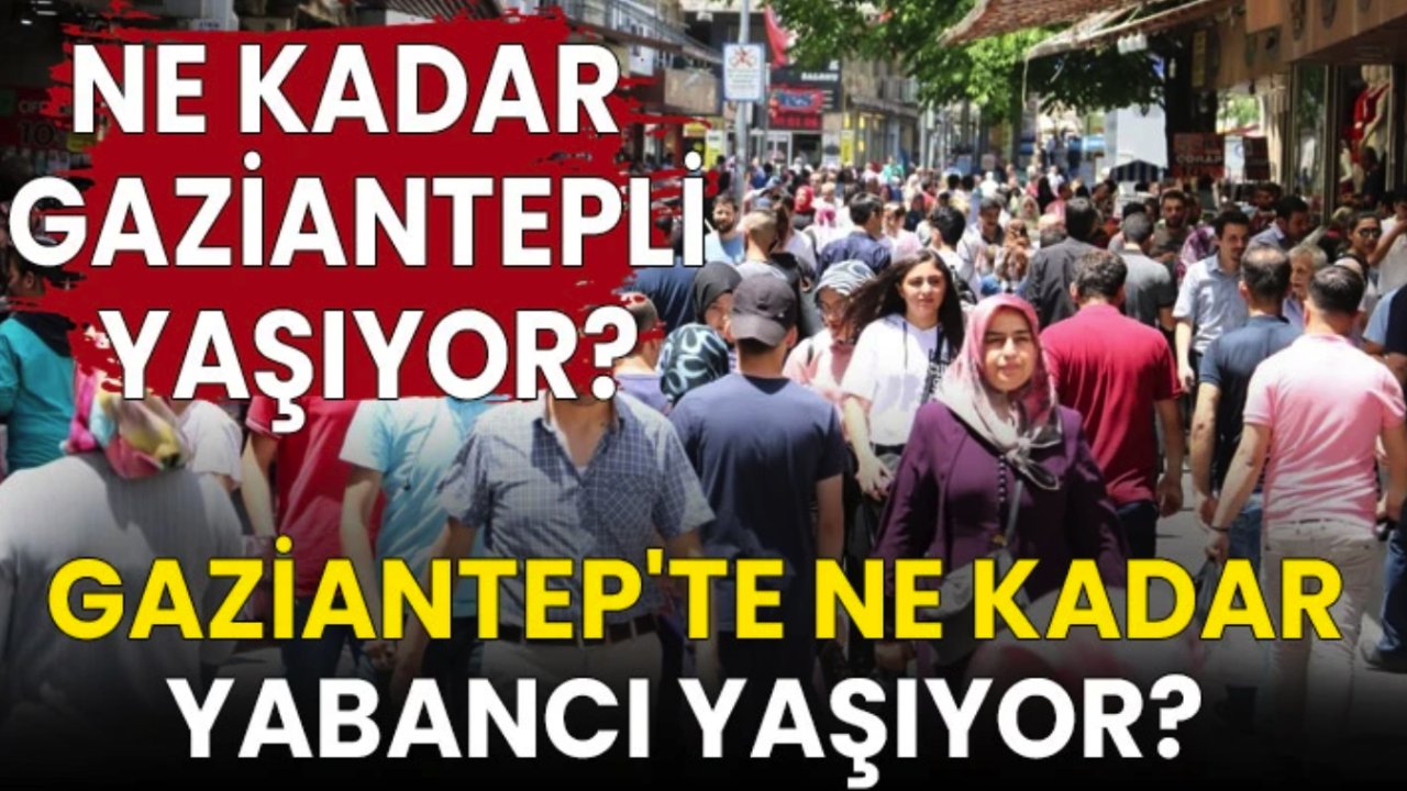 Gaziantep'te en çok nereli var? Gaziantepliler En Çok Hangi İllerde Yaşıyor?