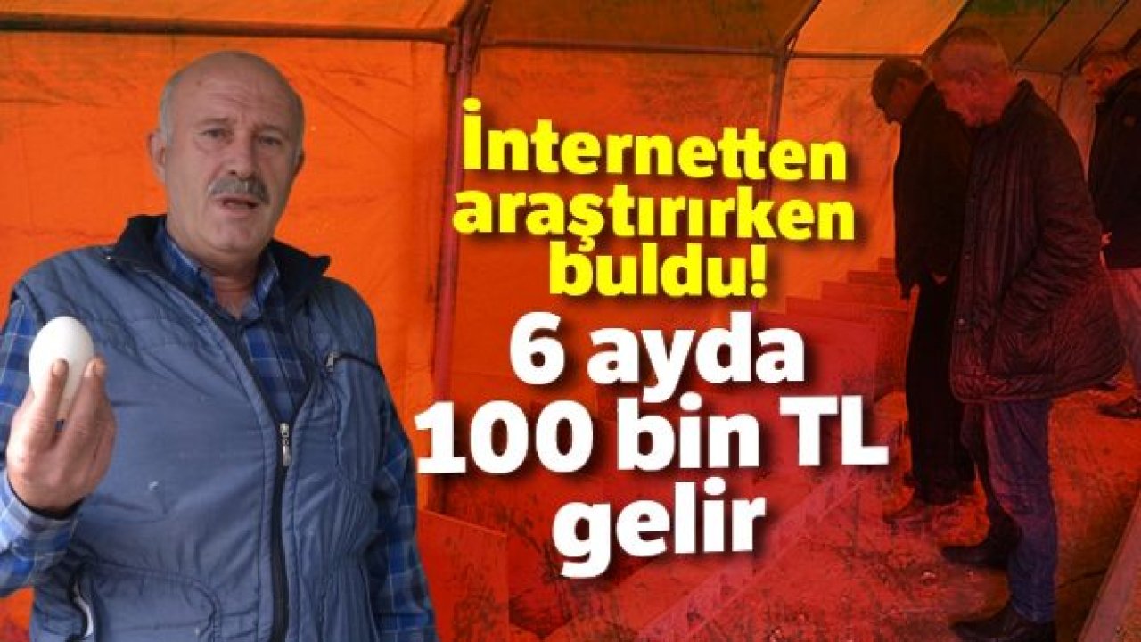 İnternetten araştırırken buldu! 6 ayda 100 bin TL gelir