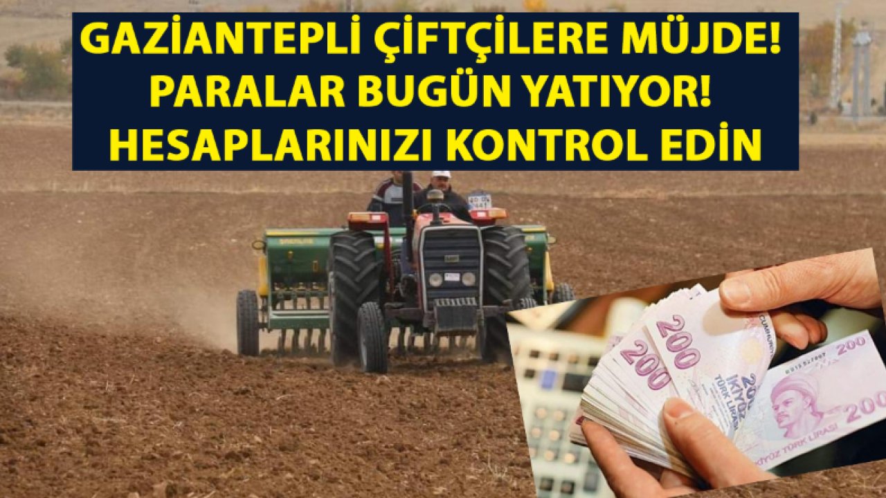 Gaziantepli çiftçilere müjde! Paralar Bugün Yatıyor! Hesaplarınızı kontrol edin