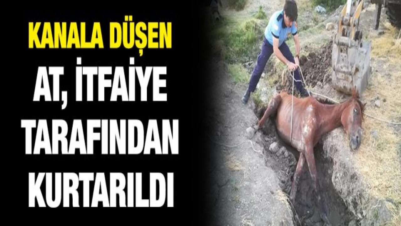 Sahipsiz atı itfaiye kurtardı