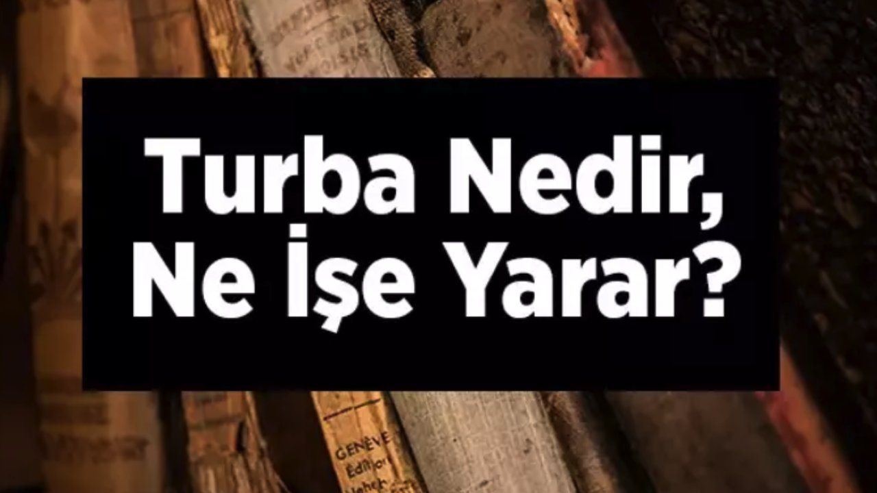 Bunu Yapınca Evde Bir Orman Oluşturursunuz! Turba Nedir, Ne İşe Yarar? Evinizde Adeta Bir Meyve Bahçesi Oluşturabilirsiniz!