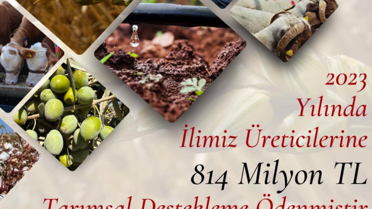 Gaziantep'te Tarıma Dev Destek! Tam 814 Milyon TL.