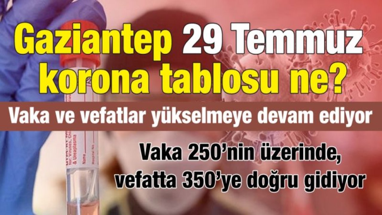 Gaziantep 29 Temmuz korona tablosu ne?...  Vaka ve vefatlar yükselmeye devam ediyor...  Vaka 250’nin üzerinde, vefatta 350’ye doğru gidiyor