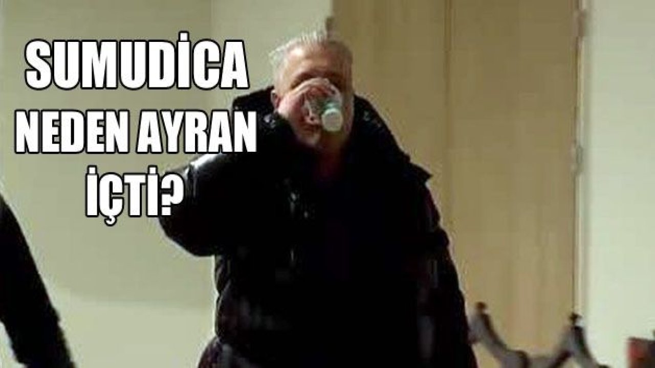 SUMUDİCA AYRAN İÇTİ