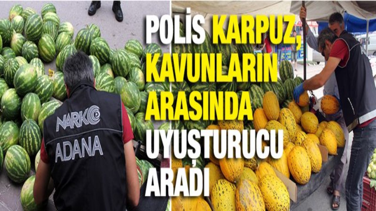 Polis karpuz, kavunların arasında uyuşturucu aradı