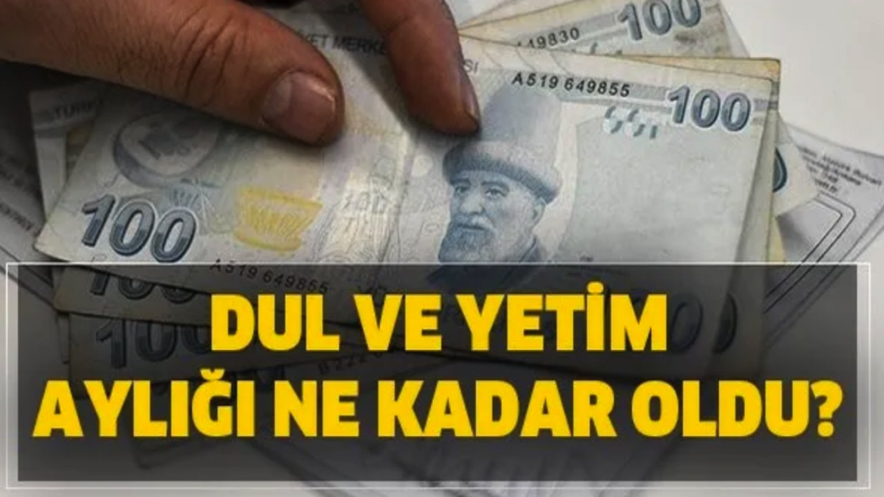 Gaziantep'te Dul Ve Yetim Aylıkları Belli Oldu! İşte Detaylar...