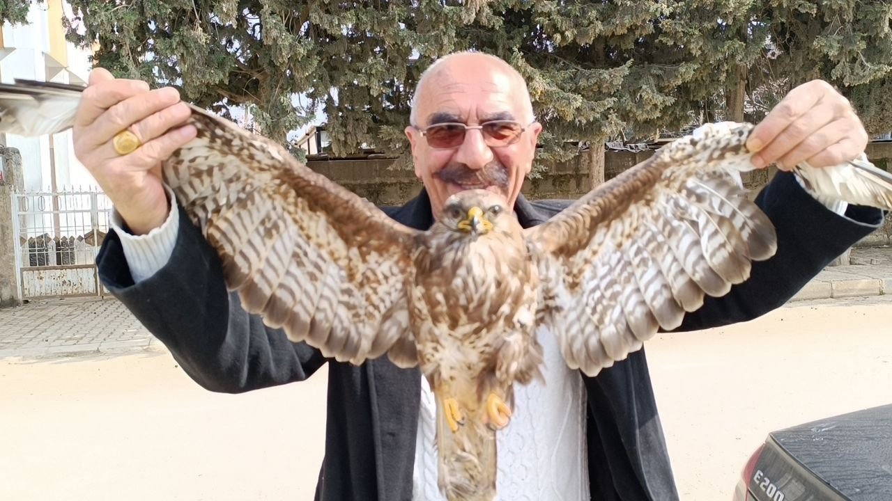 Gaziantep'te yaralı bulunan kızıl şahin tedavi altına alındı