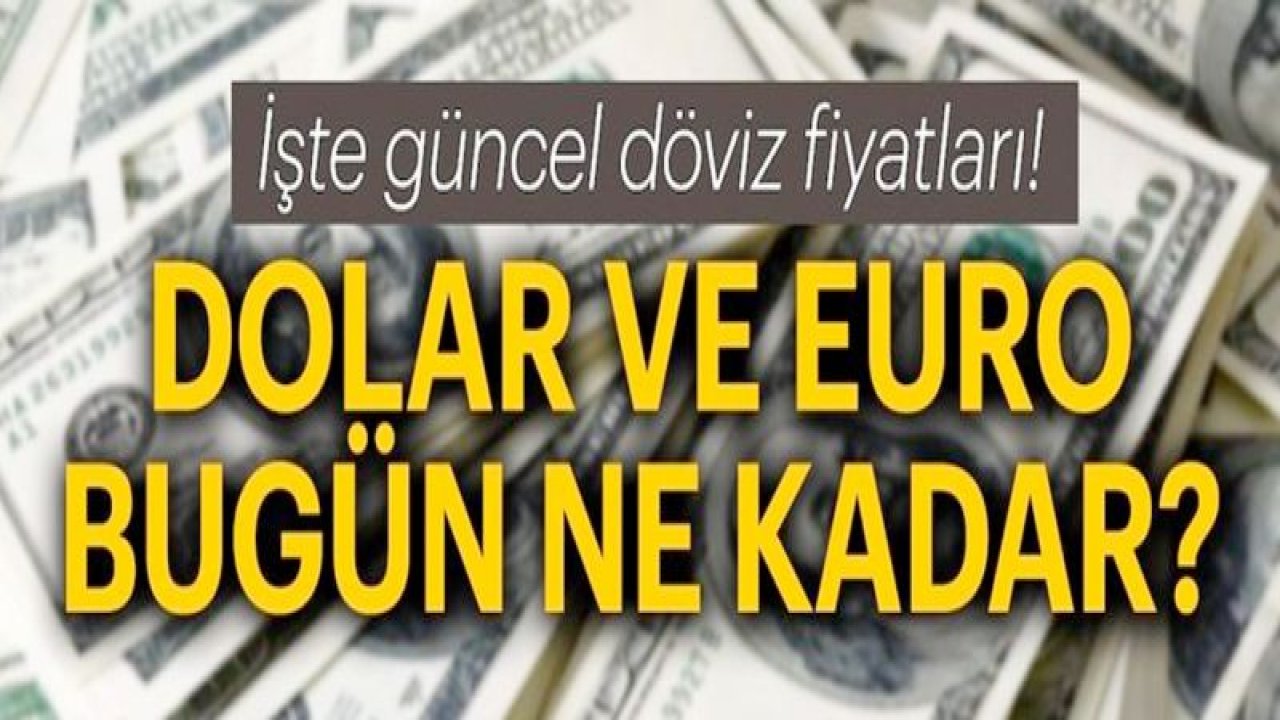 20 Ağustos 2019 dolar - euro fiyatları...