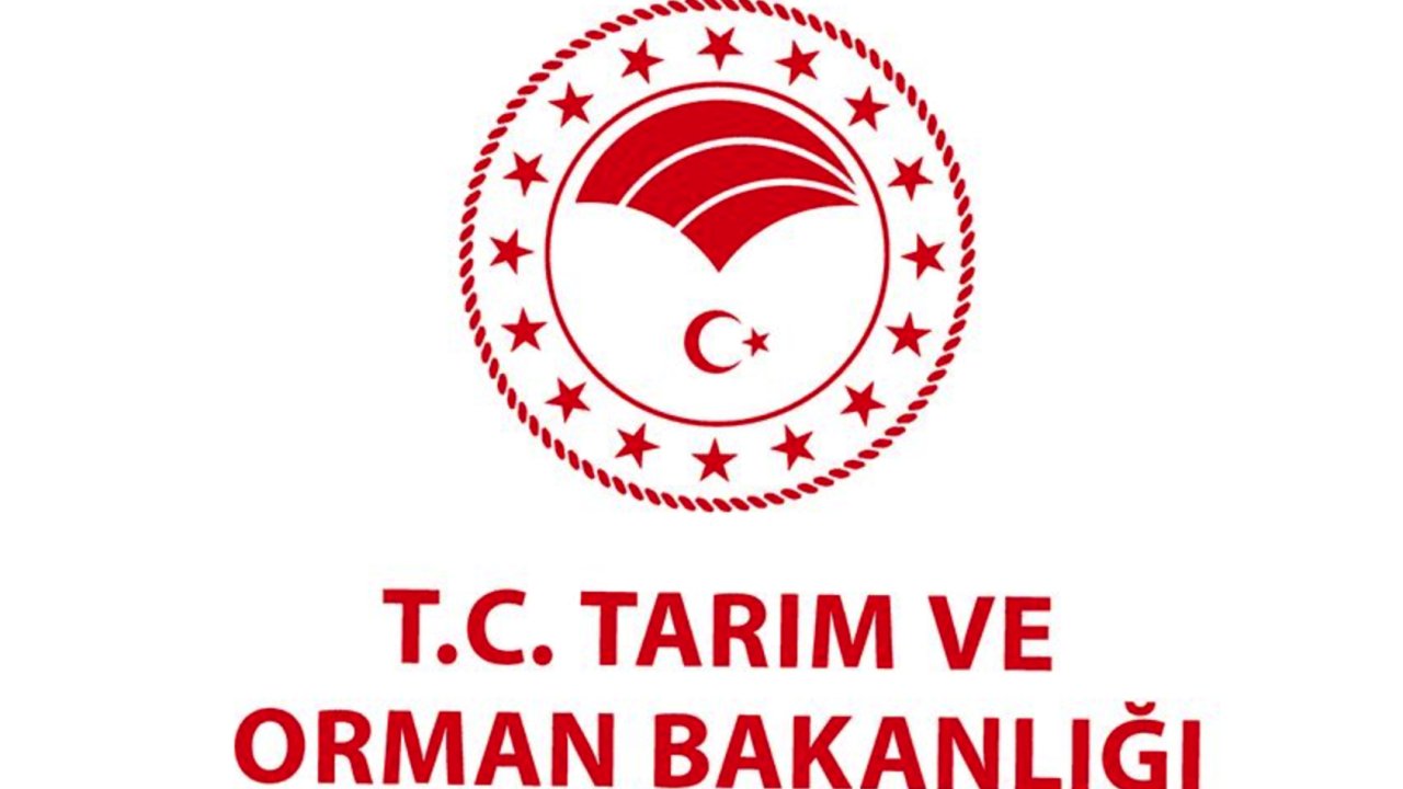 Tarım ve Orman Bakanlığına Sözleşmeli Personel Yerleştirme Sonuçları Açıklandı!