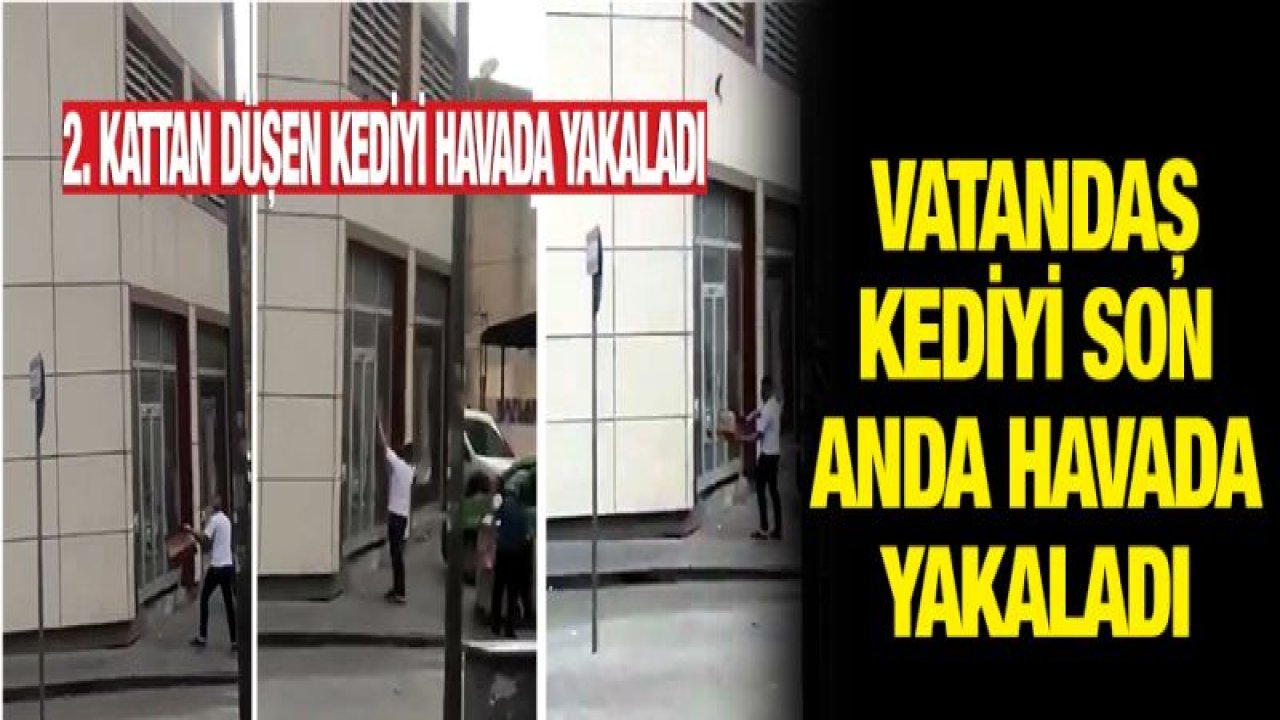 2. kattan düşen kediyi havada yakaladı