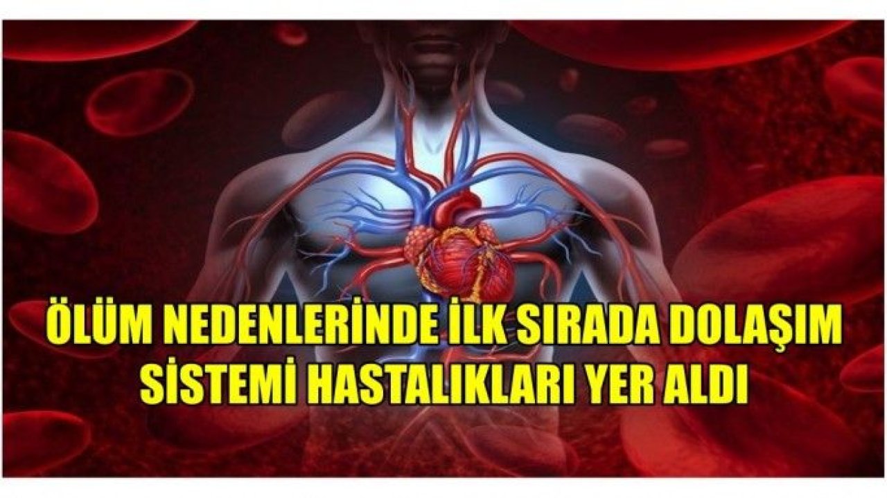 Kadınlarda ölüm nedeni olarak dolaşım sistemi ilk sırada