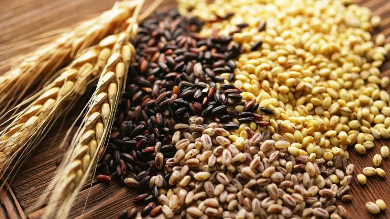 Gaziantep'te buğday fiyatları arttı! Gaziantep'te güncel güncel arpa, buğday ve mısır fiyatları