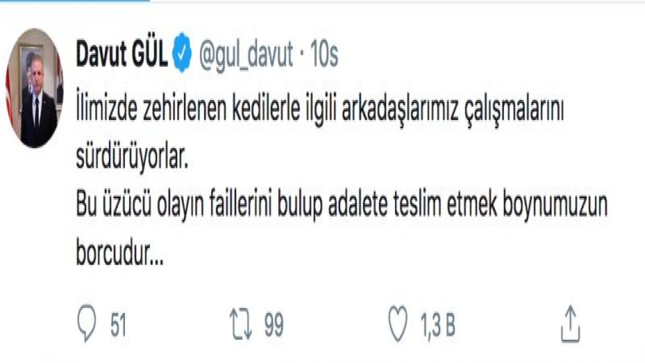 Vali Gül Kedilerin Katledilmesine İlişkin Açıklama Yaptı